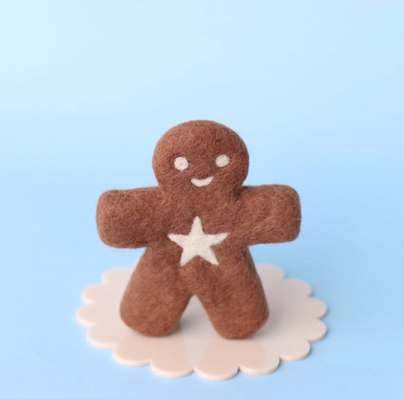 Mr Spicy the gingerbread kid