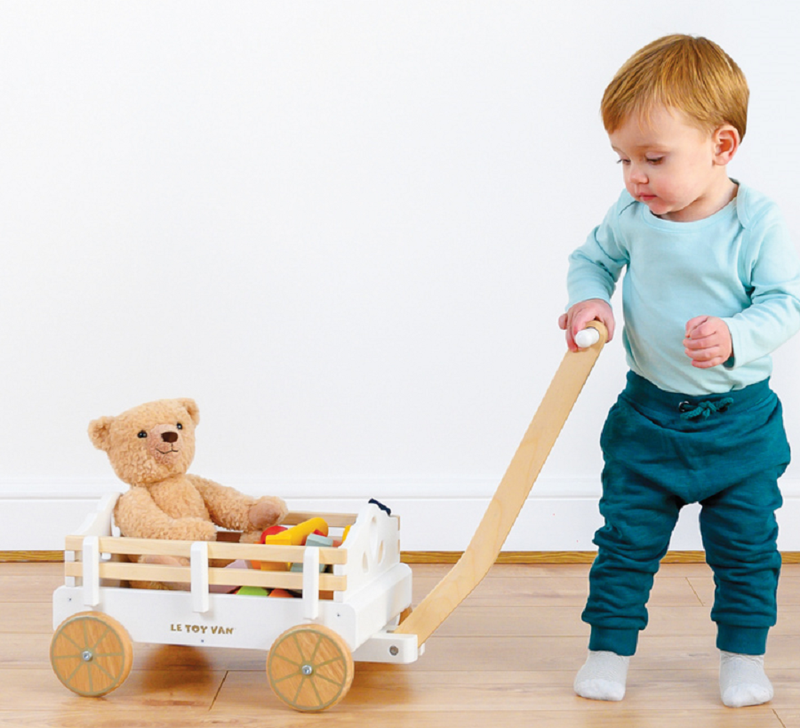 Pull Along Wagon