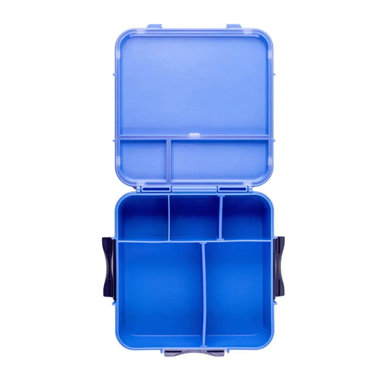 Bento Box Three+ | Blueberry