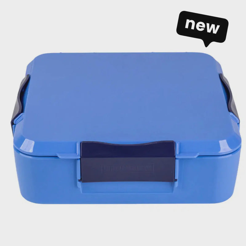 Bento Box Three+ | Blueberry