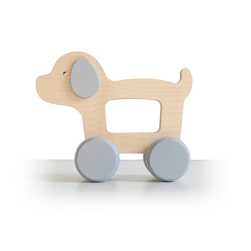 Puppy Animal