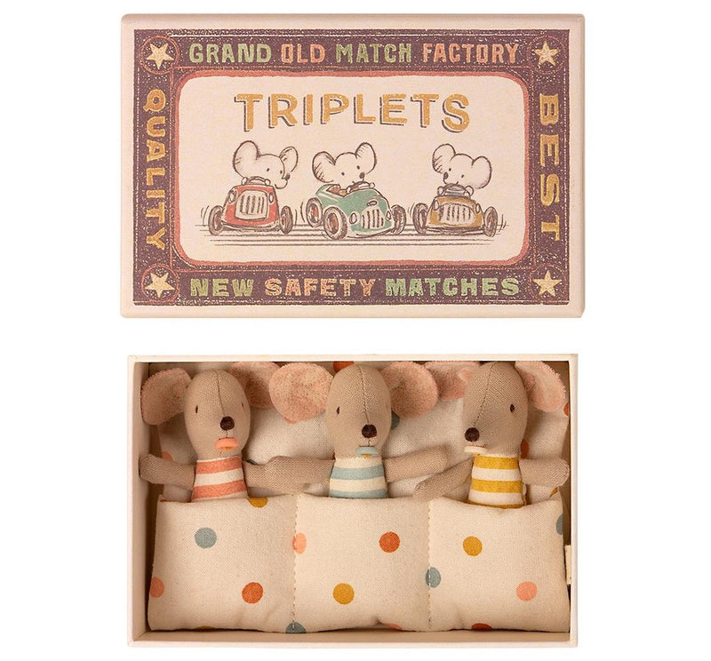 Triplets Baby Mice in Box